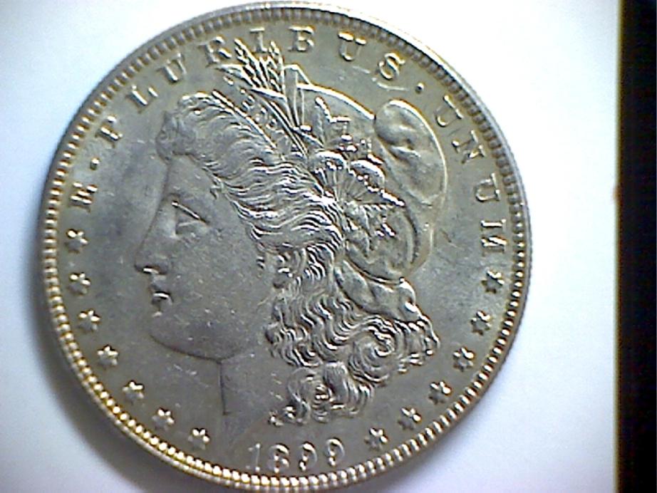 Grade-My-Morgans